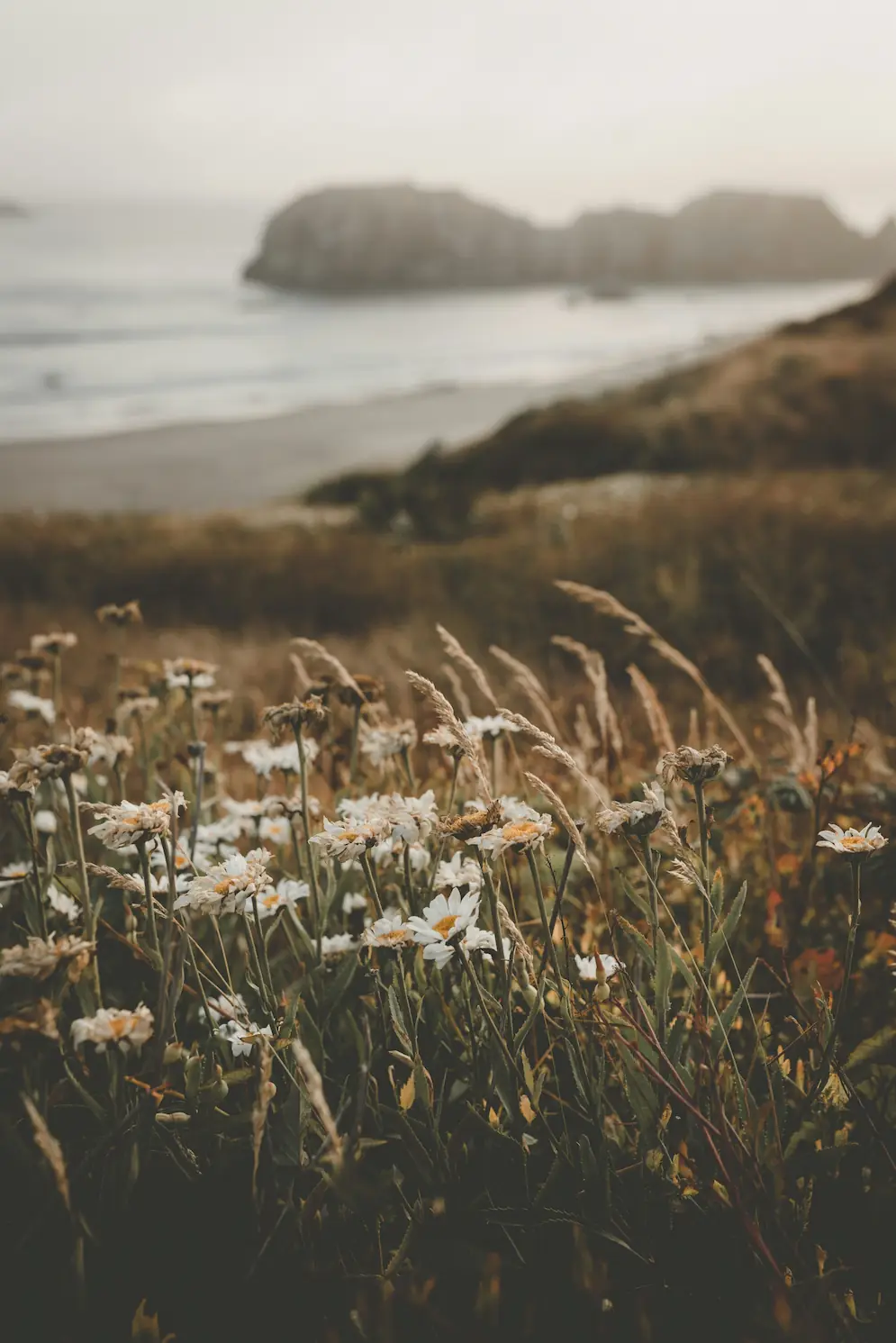 calming-nature Calming nature