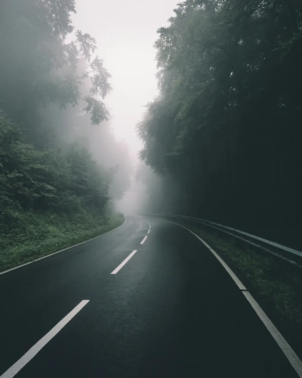 foggy-forest-road Foggy forest road image